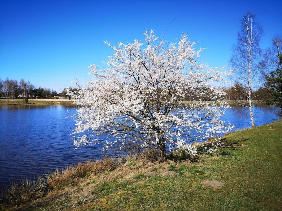 Sielanka Aleksandria Holiday home