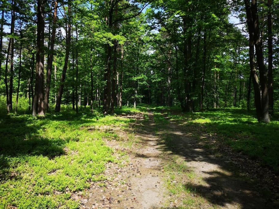 Sielanka Aleksandria Holiday home *